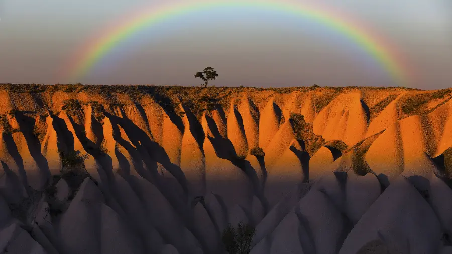A pleasant background of a single tree on a mountain and a rainbow