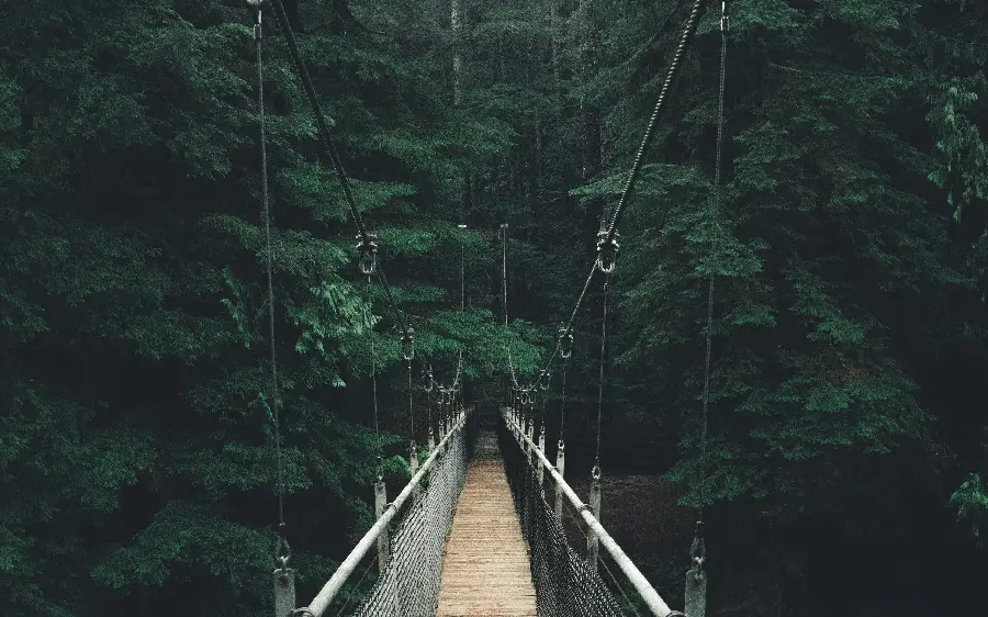  Download Amazing Wallpaper of Horrible Forest and Man on Wooden Bridge