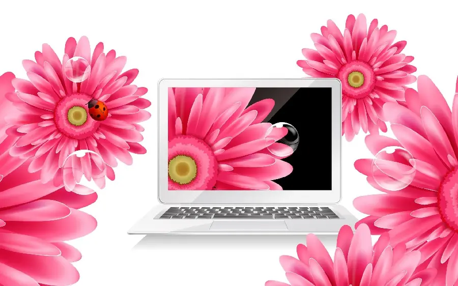 Stock Photo Art Edited and DLaptop and pink flower digital artwork