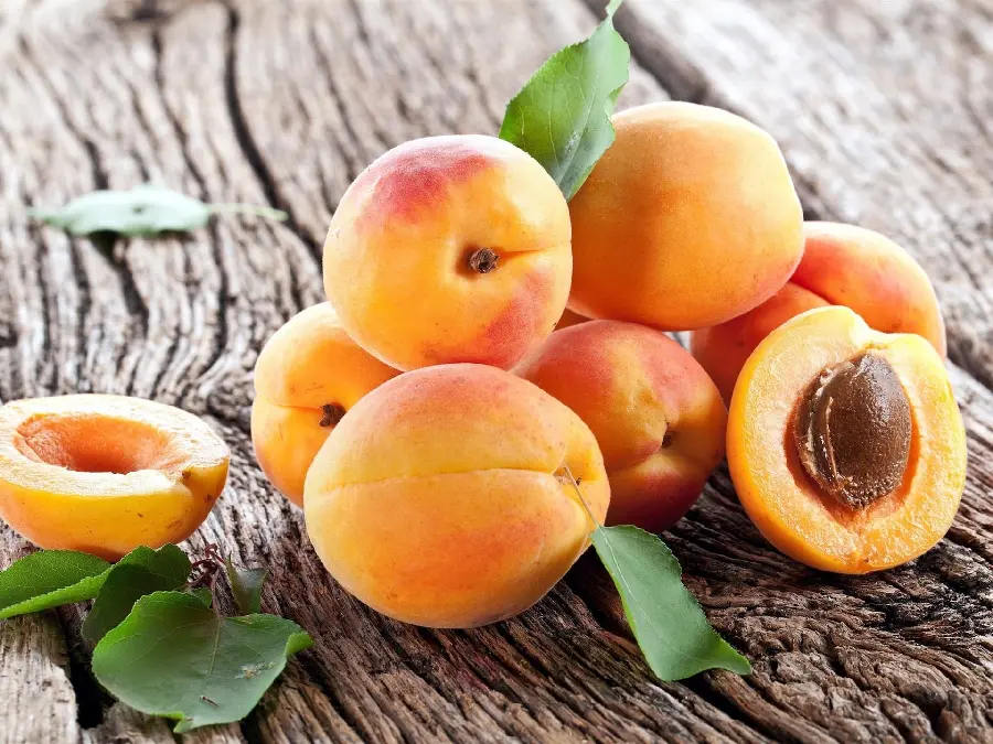 Download very interesting photo of beautiful apricots in high quality