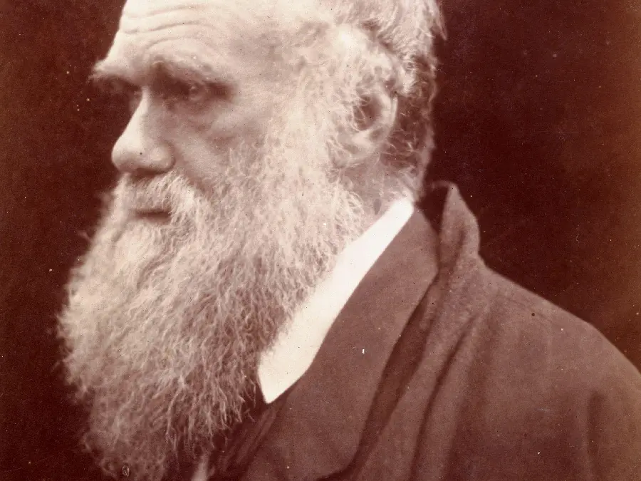 Image of the famous English biologist and theorist named Charles Darwin