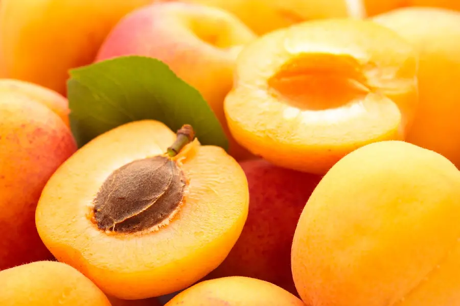 Download a very beautiful image of beautiful apricots with a large core 
