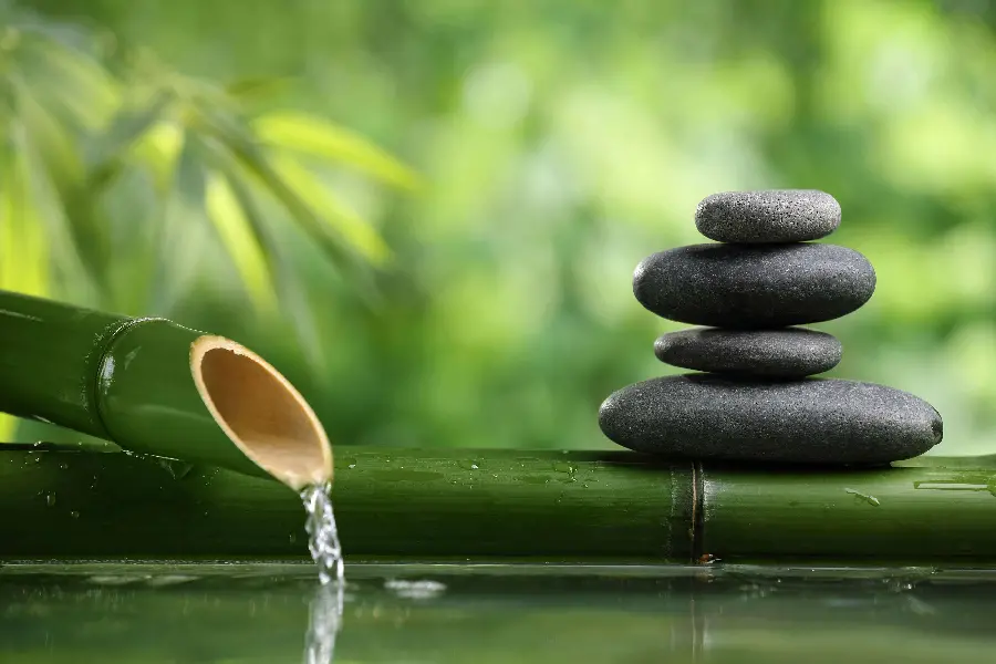 High quality view of Zen nature in Japan for use in cyberspace
