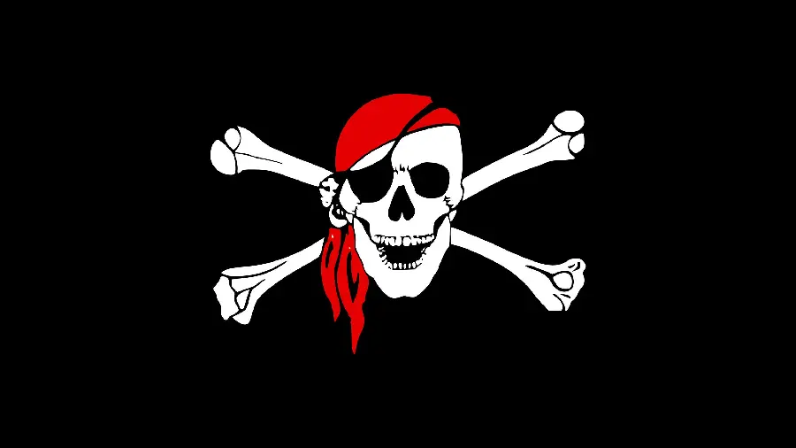 White Pirate Skull with Red Headband on Black Background