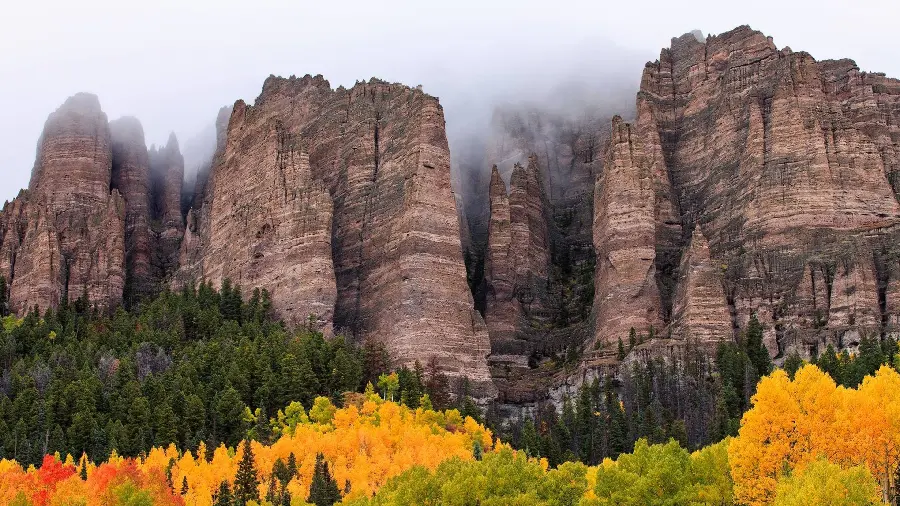 Very nice and spectacular wallpaper of high mountains with green and beautiful trees 
