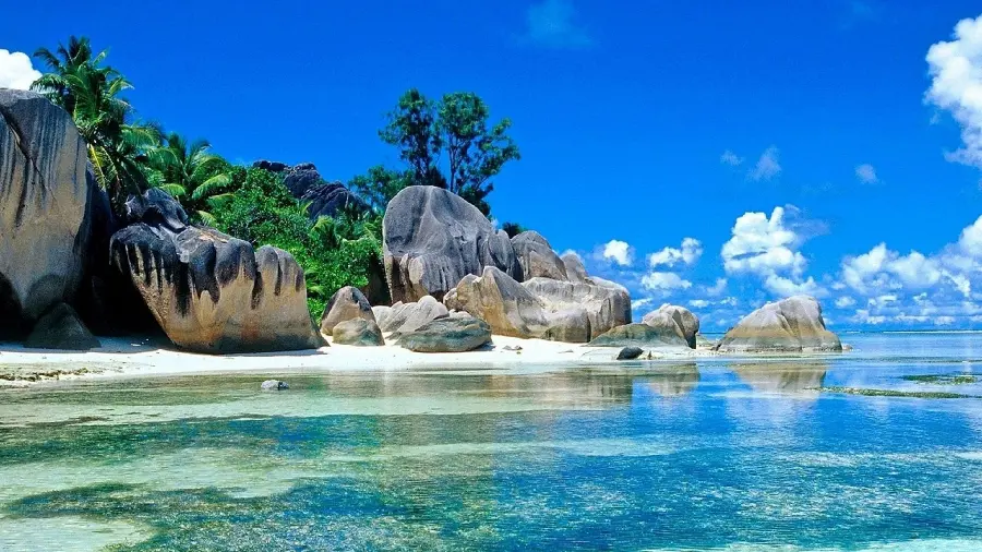 A picture of a coastal island with green trees and stone caves