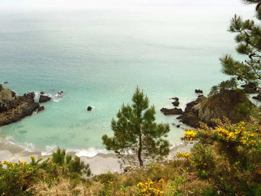 Amazing and spectacular free sandy beach photo with the highest quality