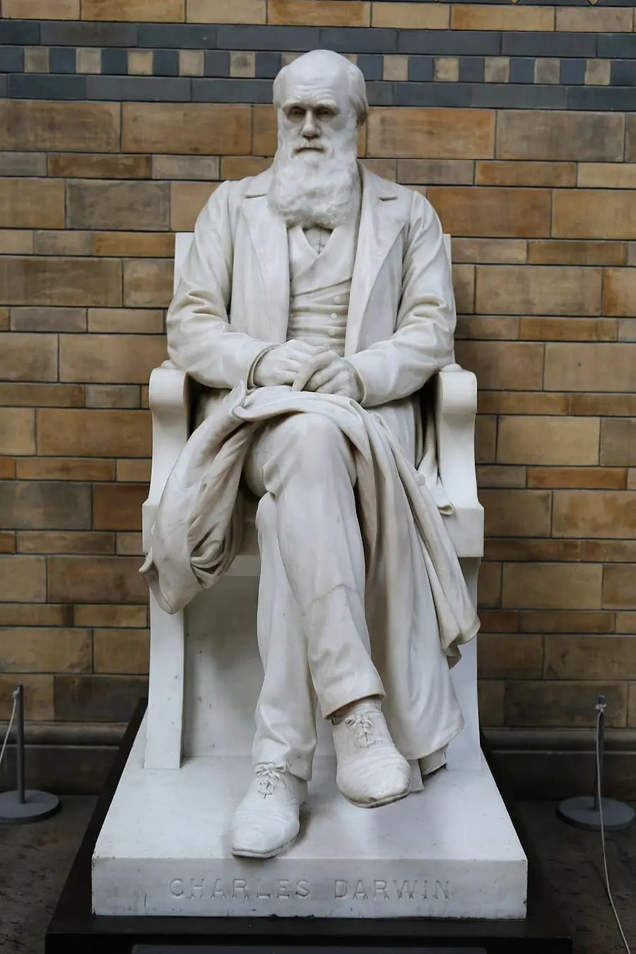Download photo of real statue of Charles Darwin 