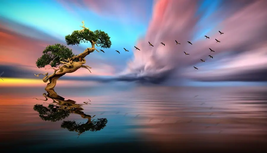  Wallpaper of a bonsai tree in the middle of the water with a very beautiful sky 