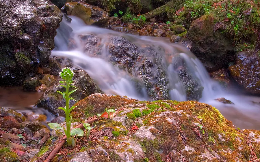 Download a real photo without editing and Photoshop of a beautiful low-water waterfall