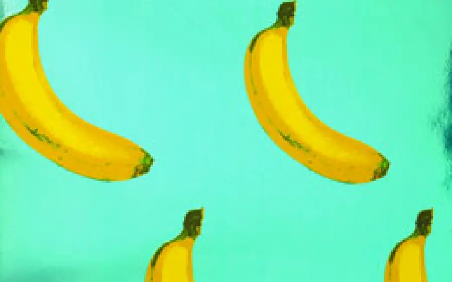 WallpaperSome bananas on a blue green background 4k 