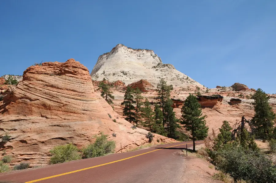 Simple and unedited mountain road wallpaper with pine trees 