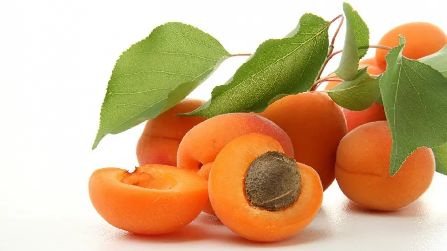 Very beautiful and delicious wallpaper of ripe apricots in high quality 