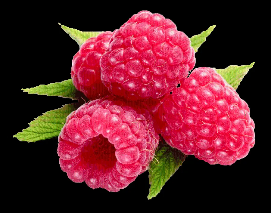 Free Download of a Red Raspberry PNG Image Without Background 