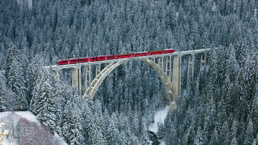 The most beautiful image of nature and bridge with excellent quality for download 