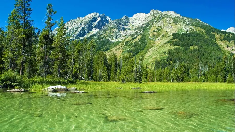 Free download of high-quality nature images for printing
