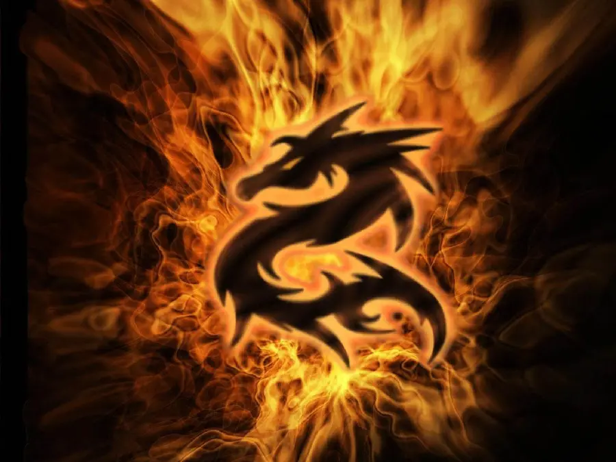 Amazing wallpaper of a dragon in the middle of fire with HD quality