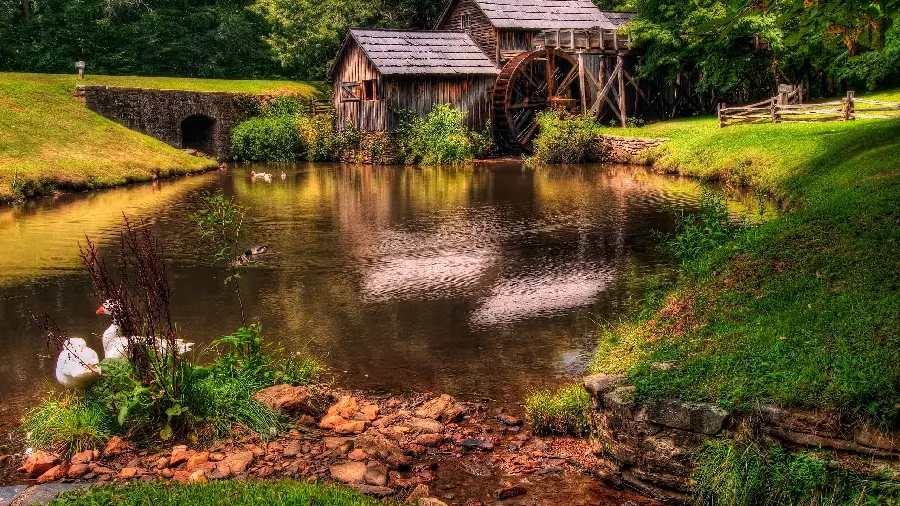 Dreamy photo of a wooden cottage by the lake in the middle of a green forest for a poster