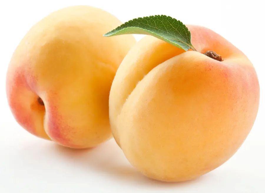 Download a very beautiful photo of two apricots in excellent quality 