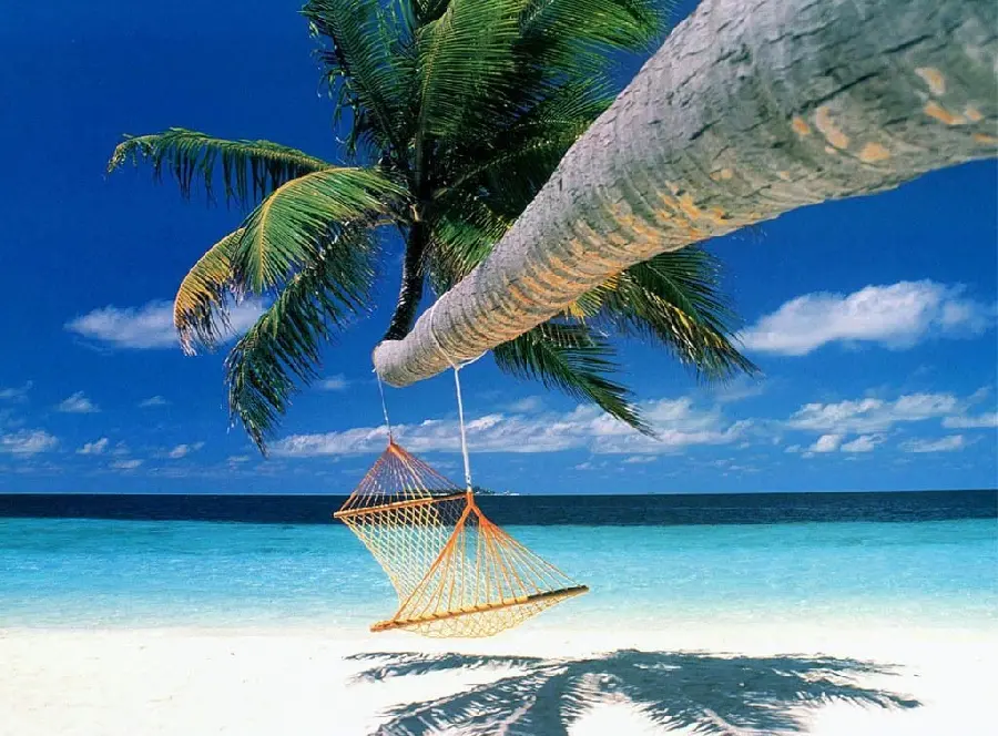 Summer relaxing wallpaper with a beach swing and a hammock on the edge of the blue sea