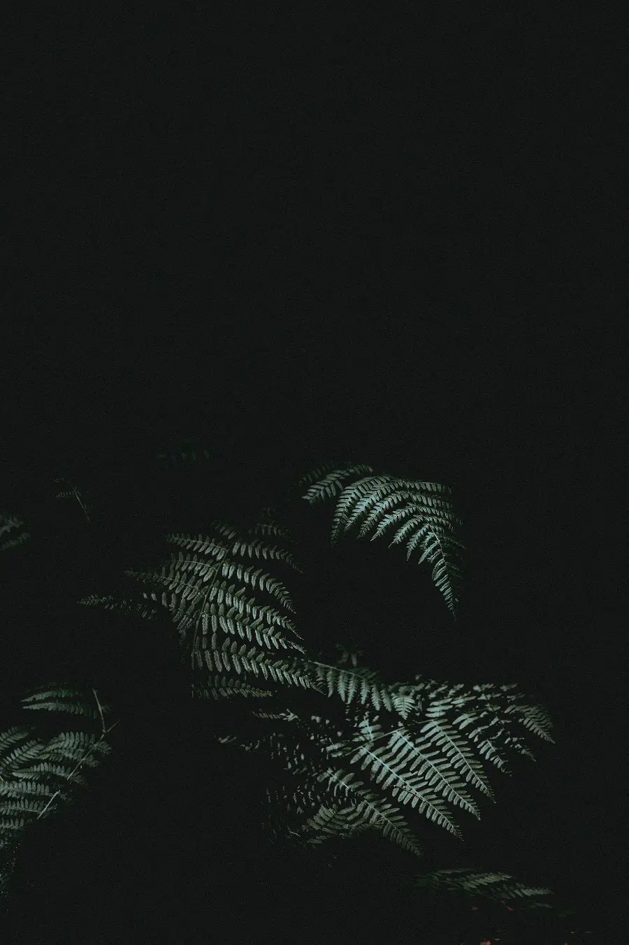 New Dark Background Photo Contemporary Art Style Suitable for iPhone Phones 