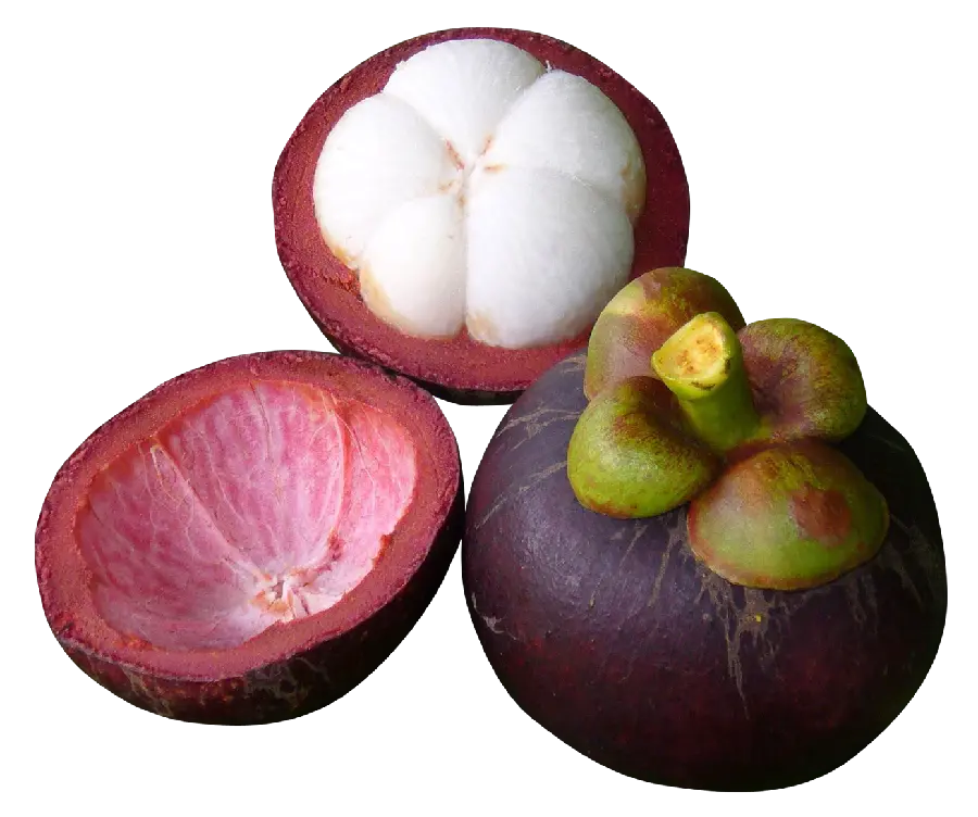 The clearest image of the fruit of the targil PNG free png 