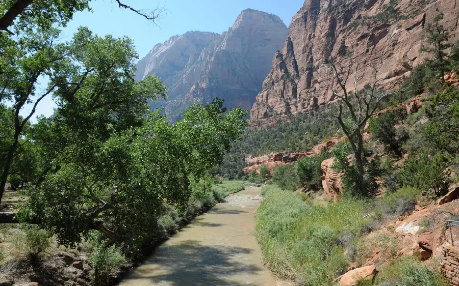 A charming portrait of a long river in the middle of a green forest