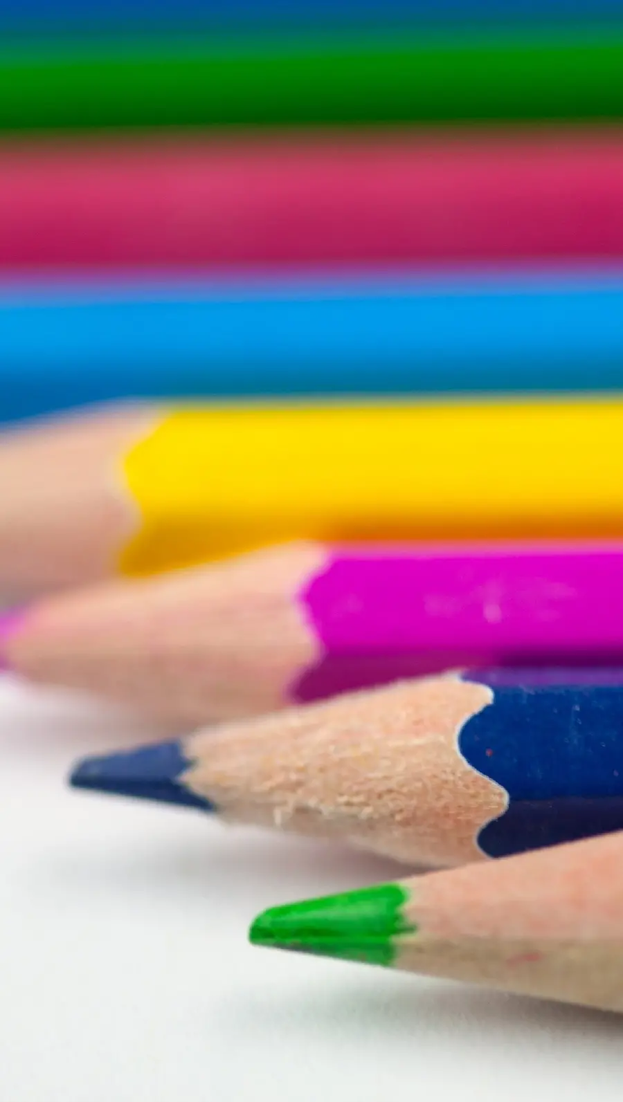 Beautiful picture of beautiful Staedtler colored pencils suitable for drawing 