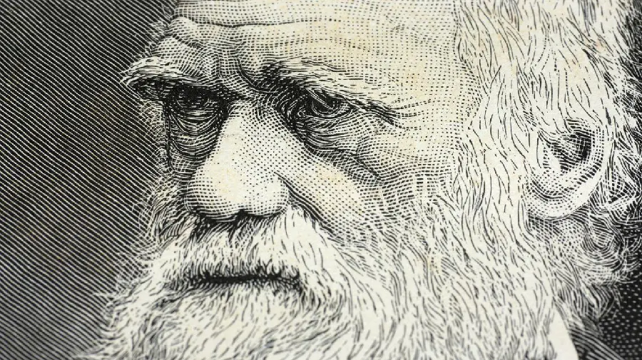 Download free full HD stock photo of Charles Darwin's face
