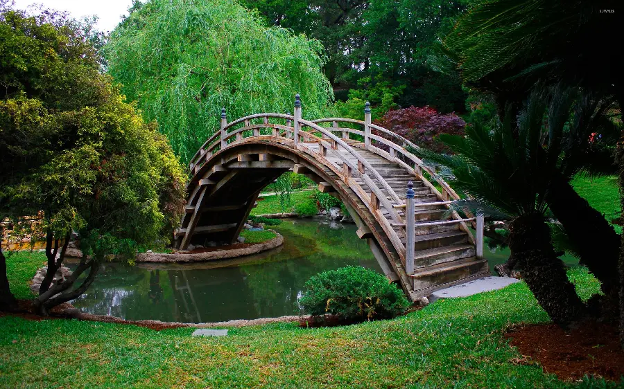 A green and spectacular view of a high-quality wooden arch bridge