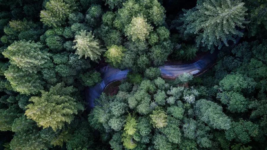 Incredibly beautiful wallpaper of dreamy nature with high quality 