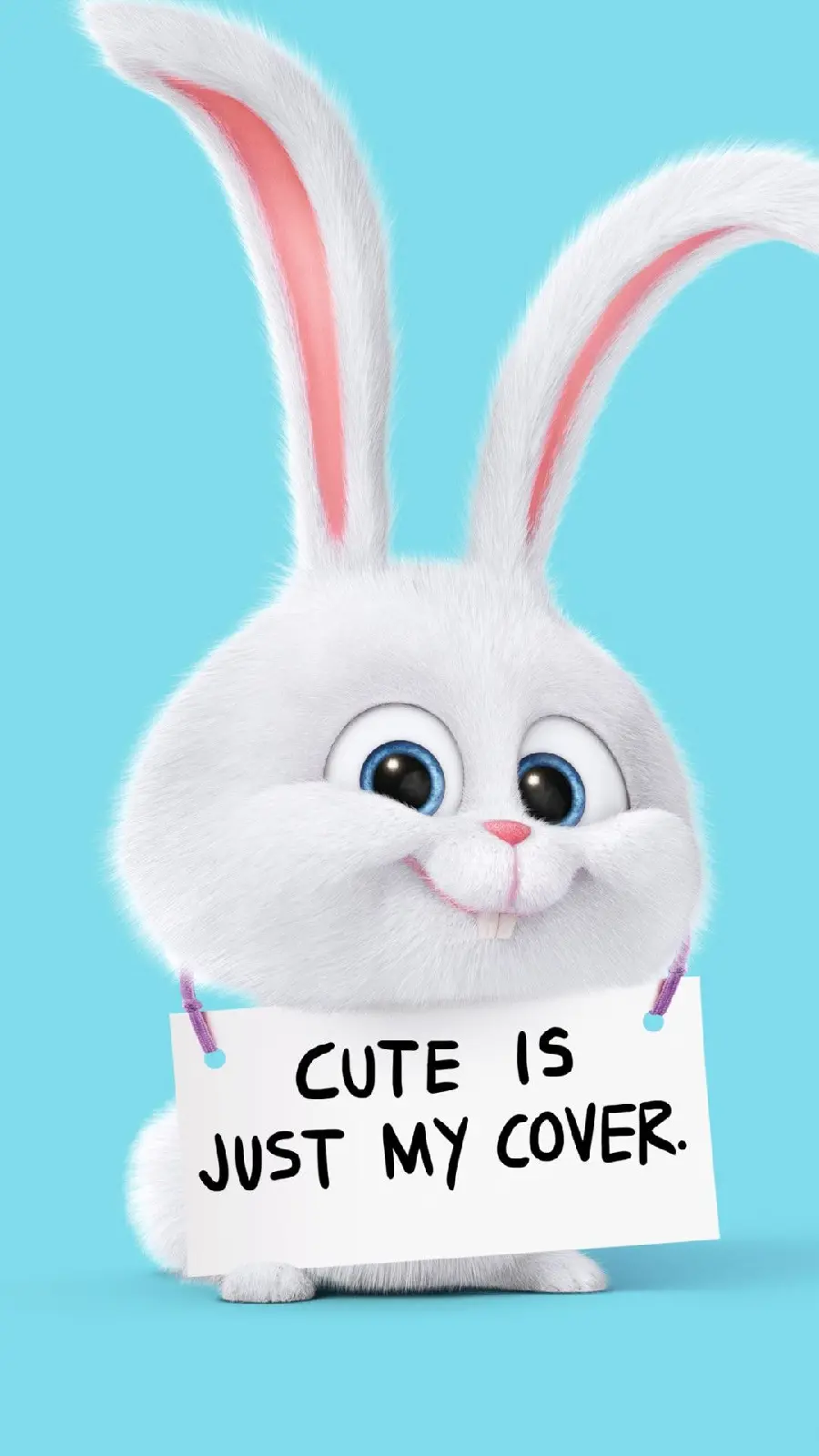 Image of a cartoon rabbit with the text that says My appearance is just cute