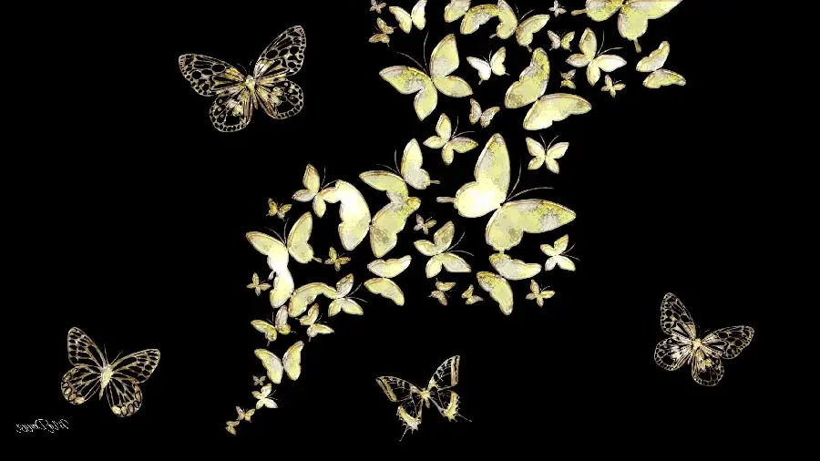 Beautiful golden butterfly photos for desktop wallpaper 