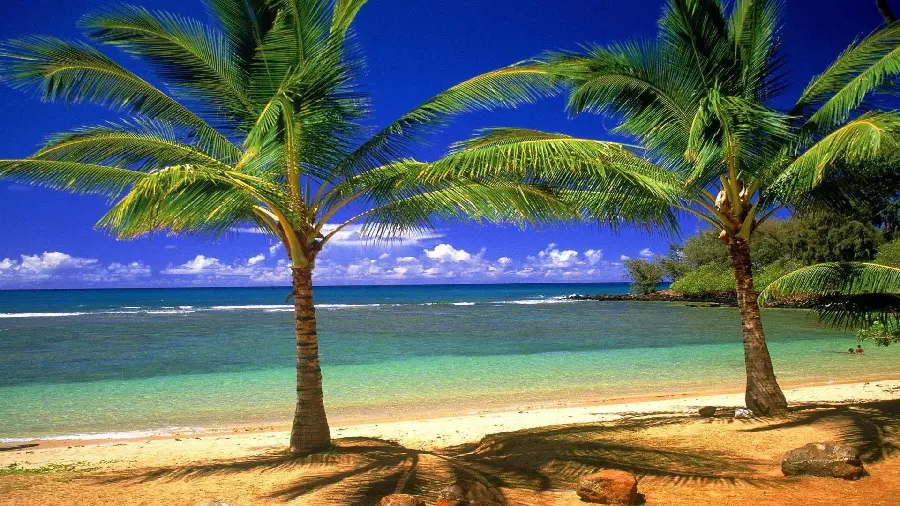 High quality wallpaper of natural attraction in Hawaii with golden beach and beautiful blue