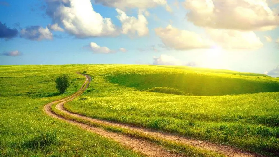 Beautiful and lush nature image of paradise in the summer for instagram post