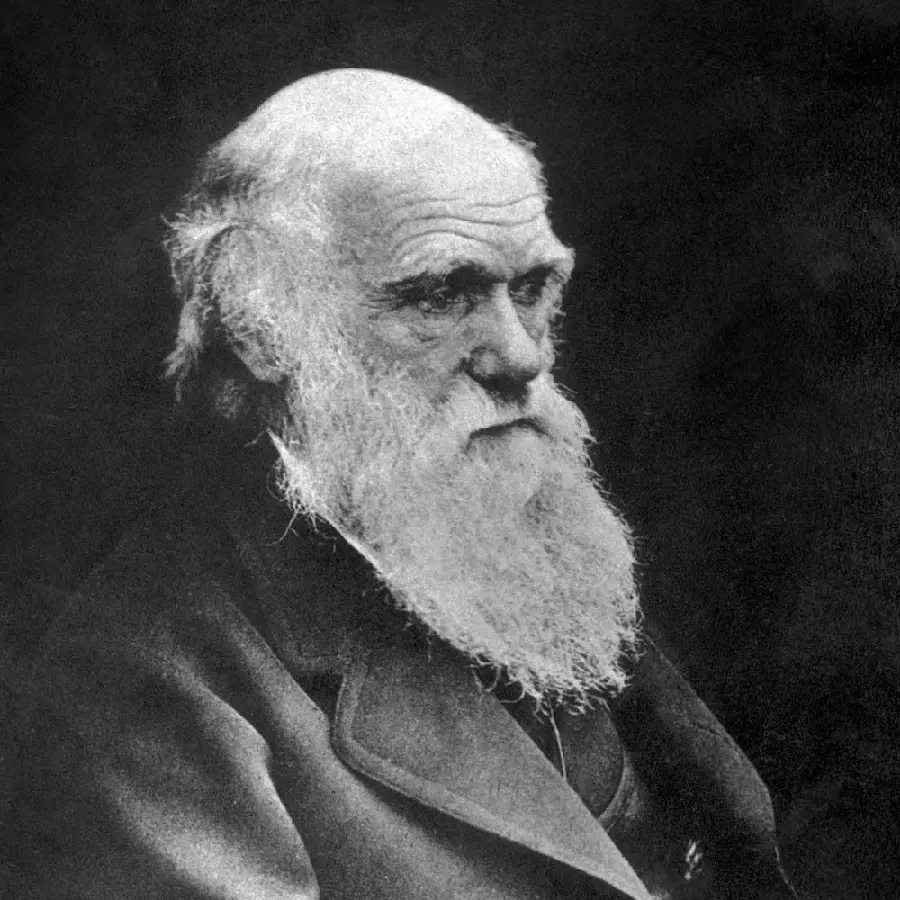 Download Charles Darwin Full HD Quality Photo 