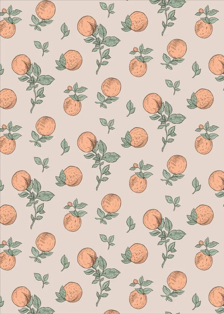 Download fantasy and minimal image of beautiful and cute apricots