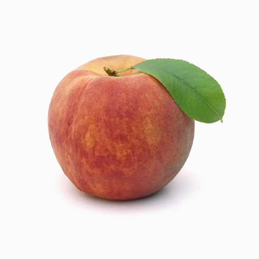 New stock photo of peach fruit with green leaves on a plain background White 2023
