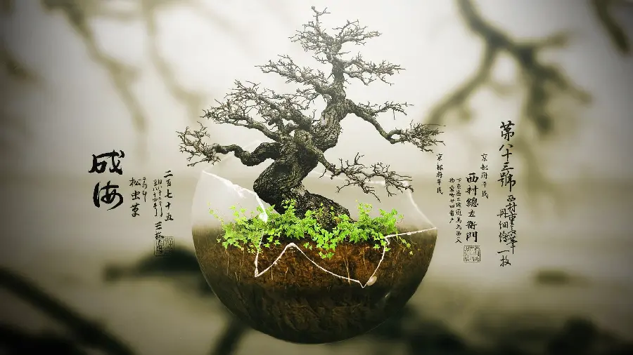  Photo Interesting and spectacular bonsai tree in a high quality glass container 