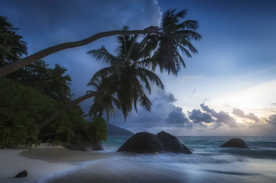 The newest and most beautiful stock photo of trees bending over the water 