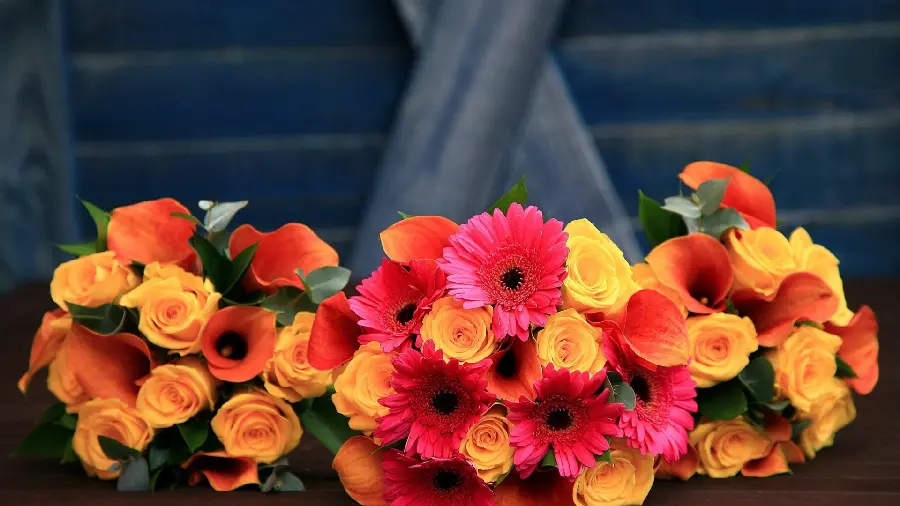Get a lovely portrait of three diverse and colorful bouquets of flowers