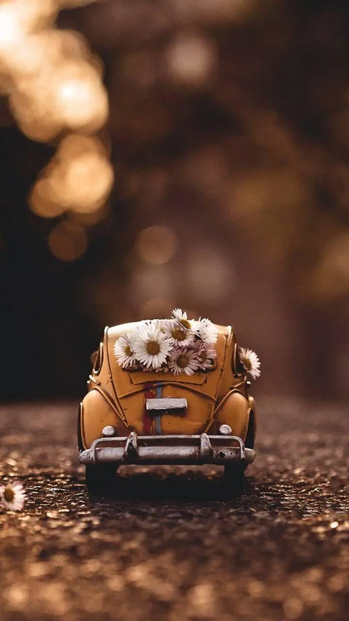 Free download of a picture of an old and classic miniature car full of flowers 