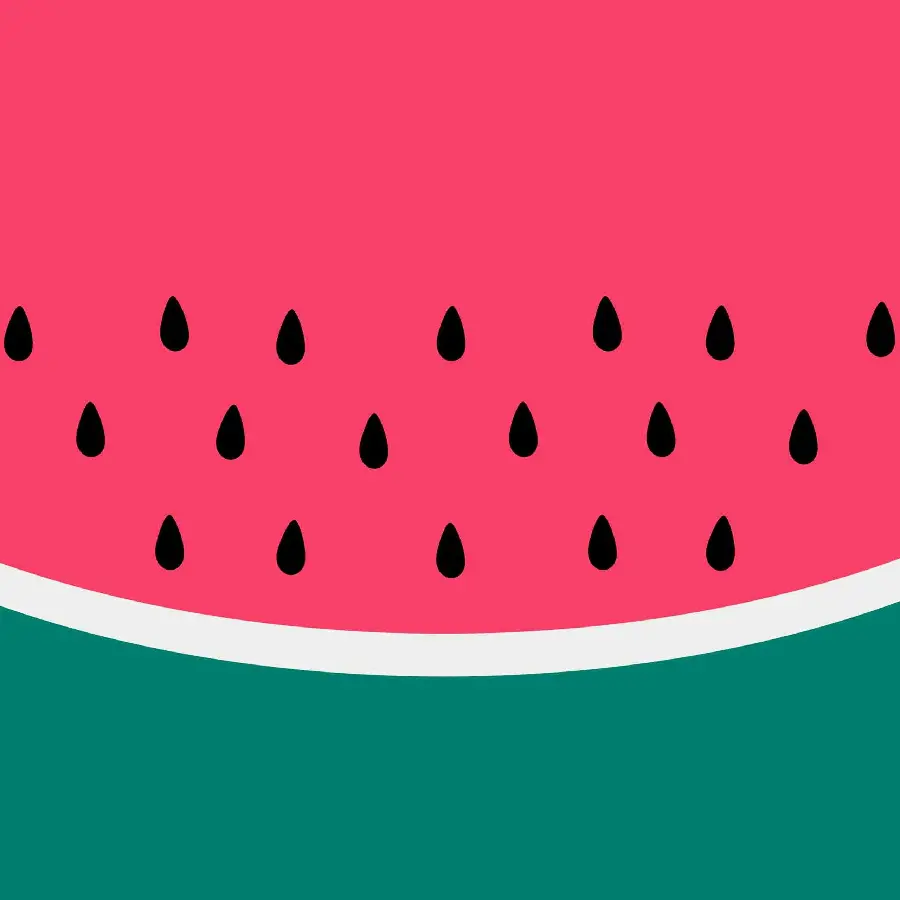 Interesting and beautiful image of a delicious watermelon slice with excellent quality 