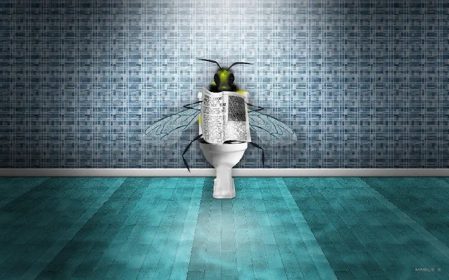 Funny and fantasy edited photo with professional Photoshop for wallpaper