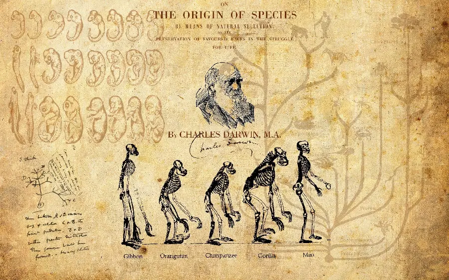 Download the theory plan of the famous English biologist Charles Darwin
