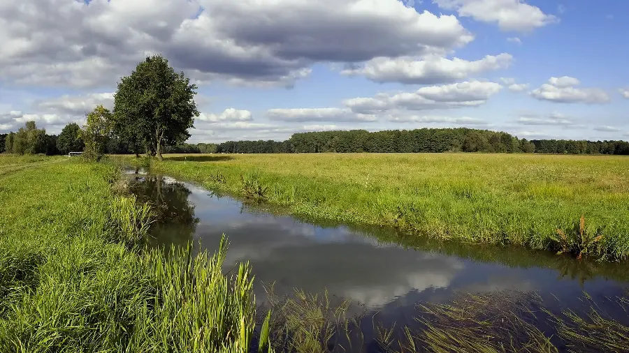 Wallpaper of Fresh and Untouched Nature with Sunny Sky