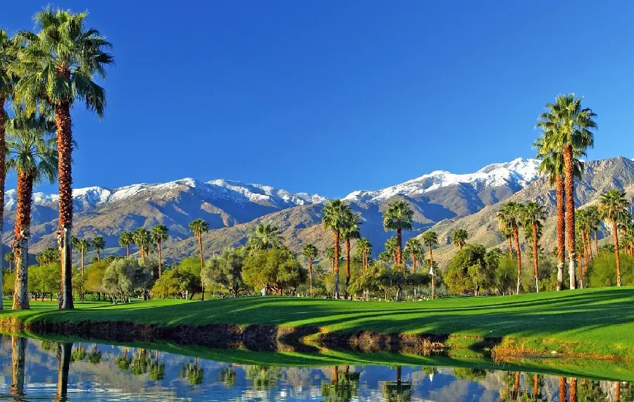 Photo of the most beautiful green nature in the world with tall palm trees towering above the sky 