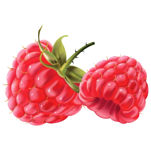 Download PNG image of single red raspberry cut out for free