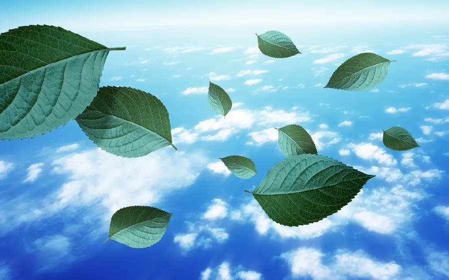 Artistic stock photo of an imaginary landscape of a leaf floating in the sky for content production of art sites