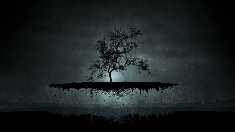 The most beautiful dark profile picture of a leafless tree and a tree